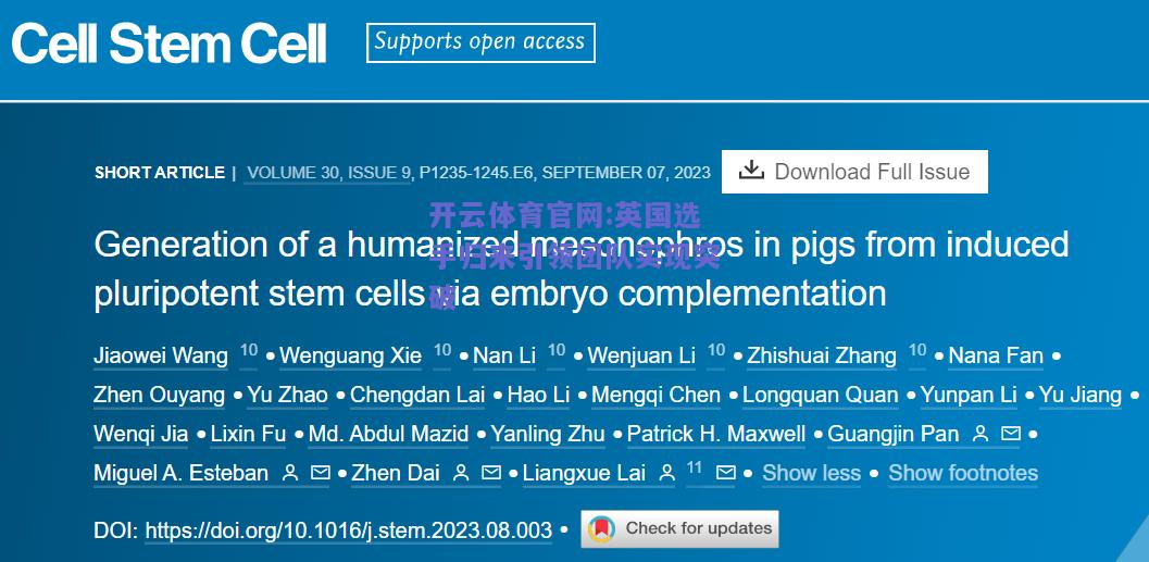 开云体育官网:英国选手归来引领团队实现突破