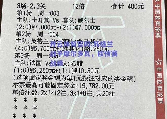 开云体育官网:苏格兰战平摩尔多瓦，欧预赛战绩