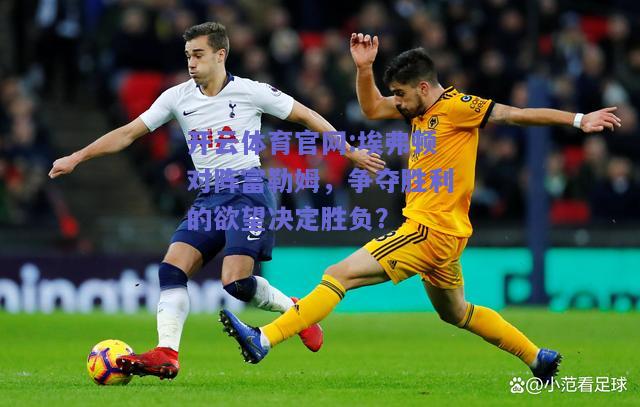 开云体育官网:埃弗顿对阵富勒姆，争夺胜利的欲望决定胜负？